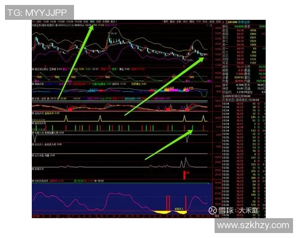 上海篮球队总决赛技术分析与表现评估的深度解读